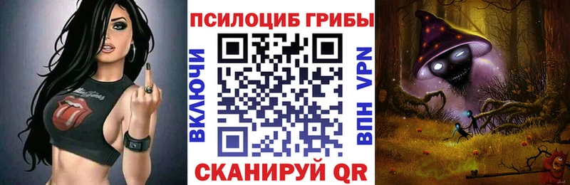 Купить где  Волчанск  Галлюциногенные грибы Magic Shrooms 